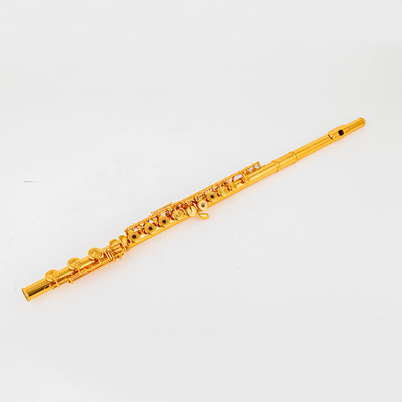 L Musical Instrument - 무라마츠 플루트-b 풋 e-고저스 퍼포먼스 악기