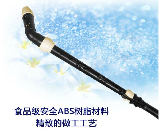 전문 8 홀 바로크베이스 수지 클라리넷 중국어 플루트  - Recorder Baroque Style 리뷰 및 가격