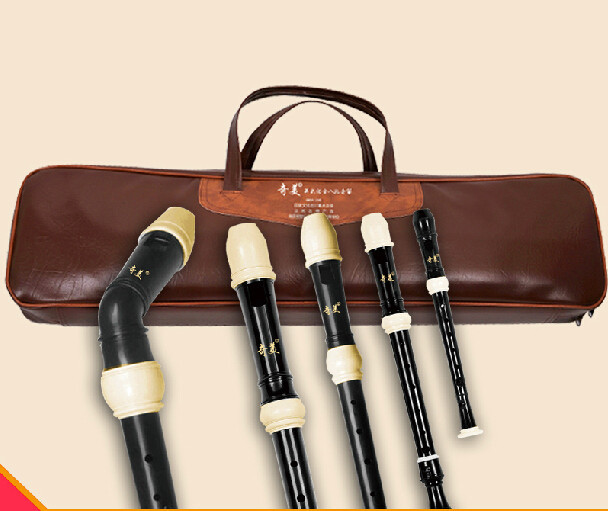 풀세트 ABS 레진 리코더 플루트 클라리넷 가죽 가방  - Recorder Baroque Style 리뷰 및 가격